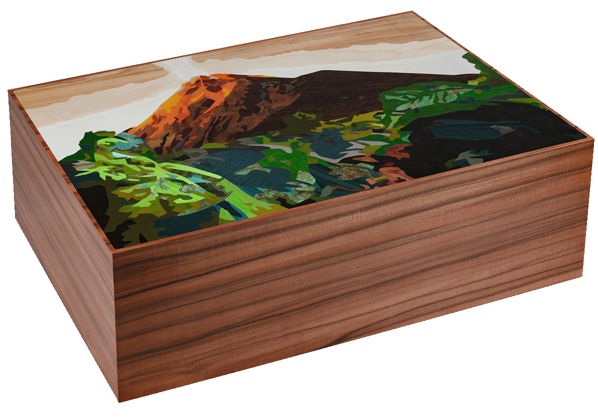 Davidoff Masterpiece Humidor Geant Terroirs  No.6/20